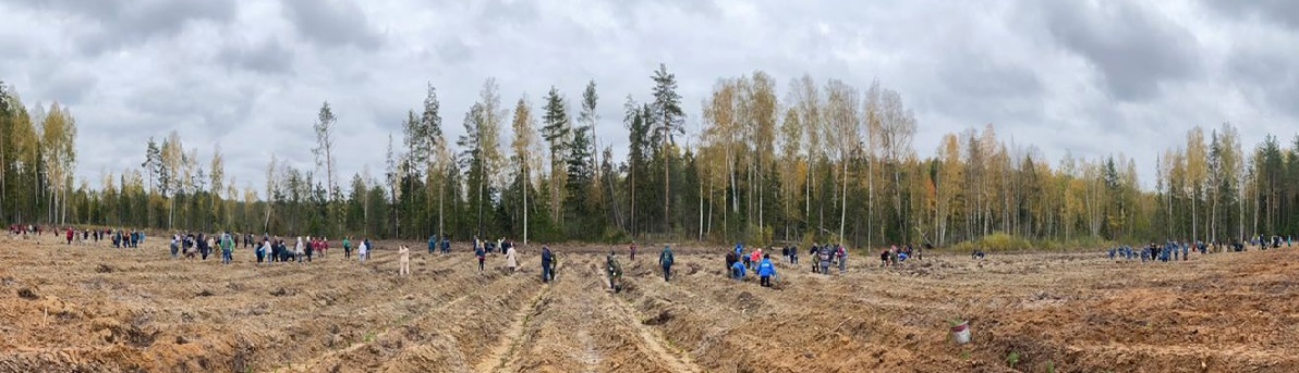 Сотрудники Западно-Уральского межрегионального управления Росприроднадзора приняли участие во Всероссийской акции «Сохраним лес»