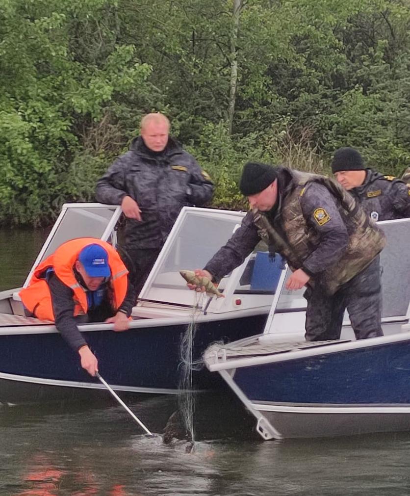 Росприроднадзор зафиксировал факт браконьерства в Липецкой области в ходе профилактического мероприятия «Всероссийский день без сетей»