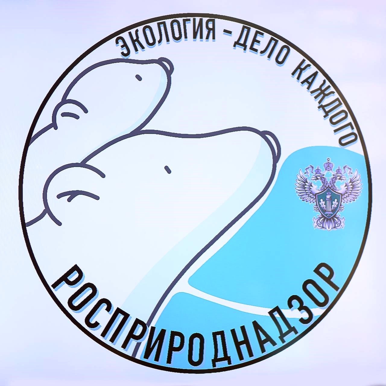 Росприроднадзор дал старт Международной премии «Экология – дело каждого»