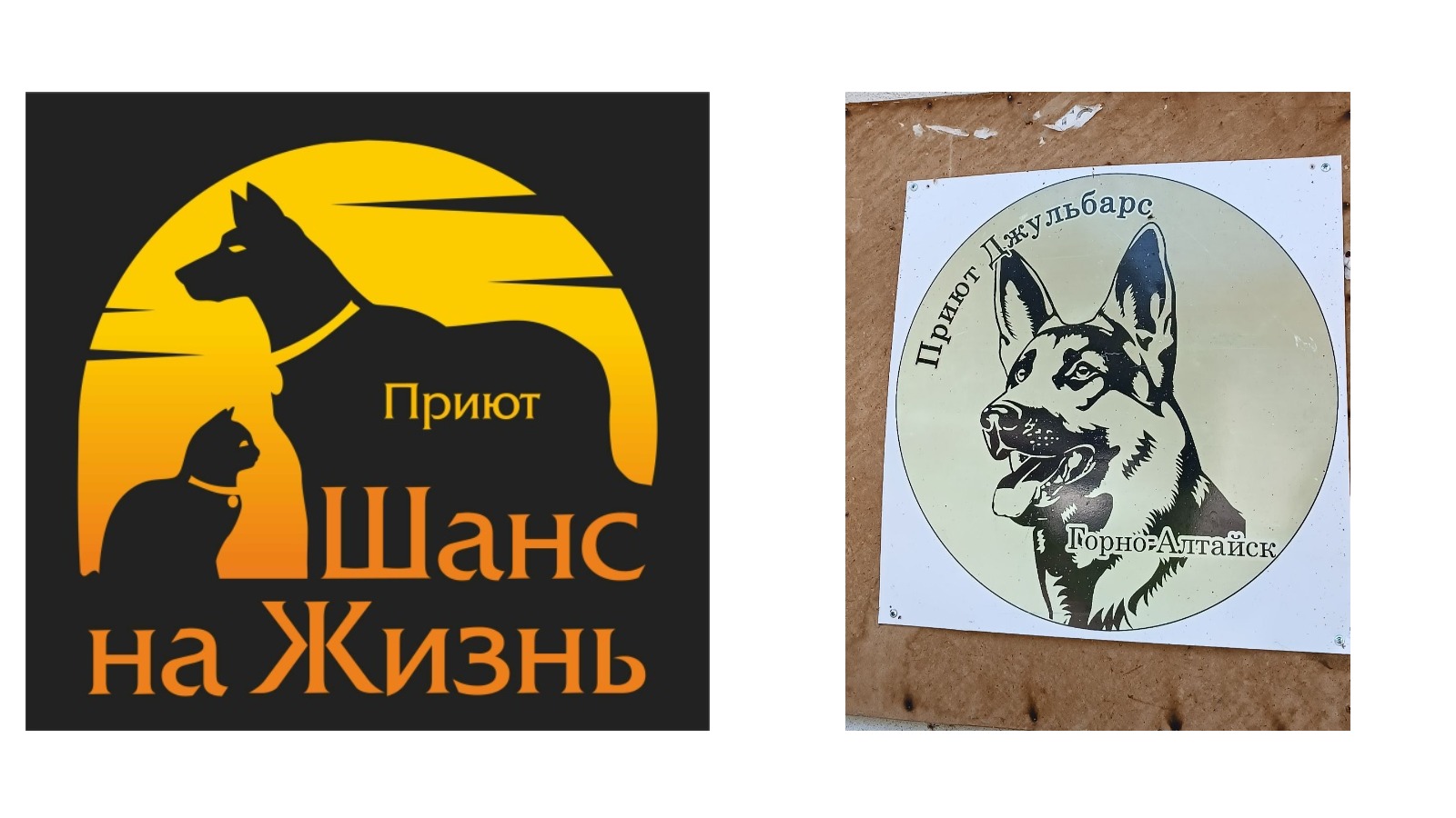 Сотрудники Республики Алтай и Новокузнецкого отдела Южно-Сибирского межрегионального управления Росприроднадзора приняли участие в благотворительной акции, в рамках Всемирного дня помощи бездомным животным 