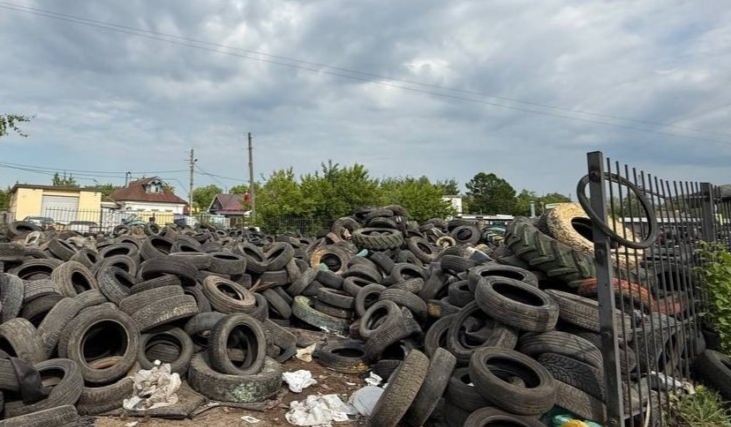 Администрации Канавинского района Нижнего Новгорода объявлено предостережение о недопустимости нарушения экологических требований