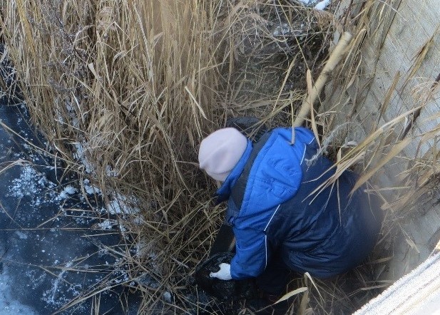 В Ярославской области выявлен разлив канализационных стоков