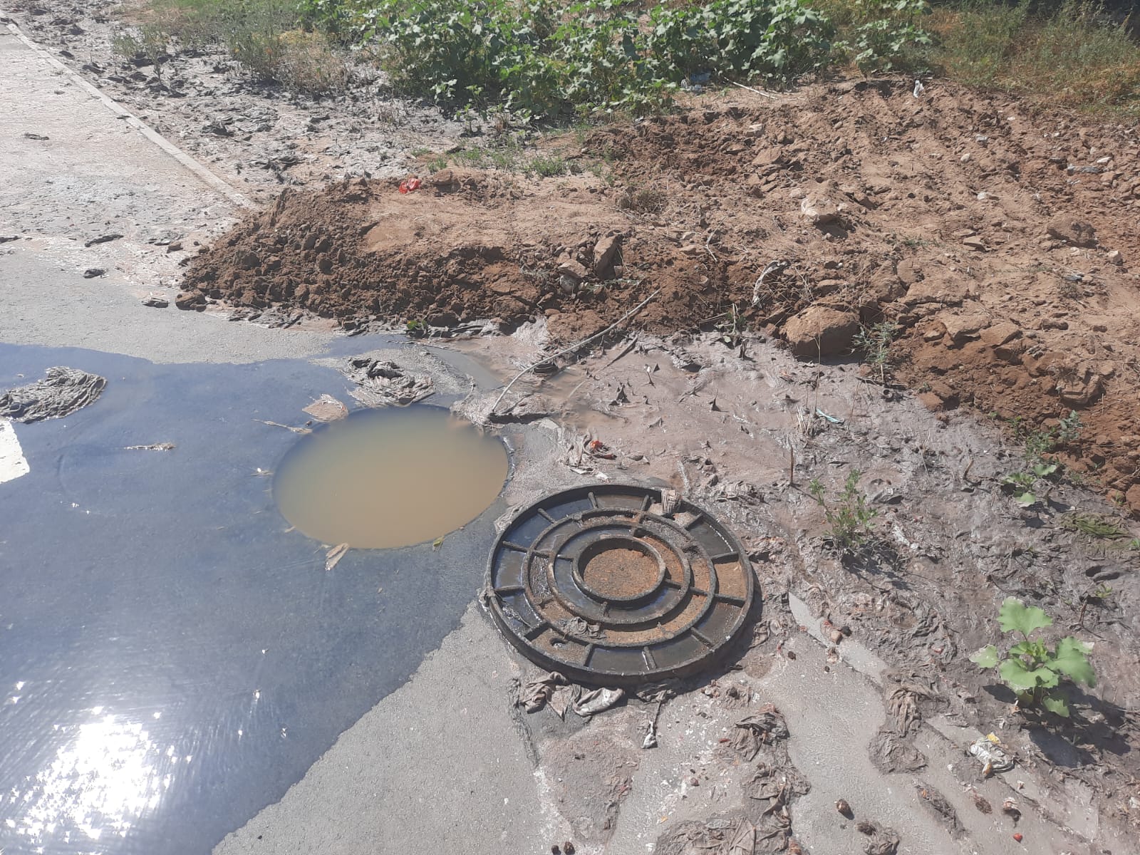 Росприроднадзор принимает меры по фактам изливов канализационных стоков у ЖК «Родниковая долина» в Советском районе г. Волгограда