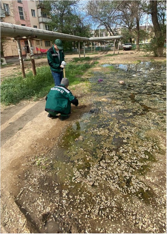 Суд поддержал требования Росприроднадзора о возмещении вреда почвам, в размере 988 тыс. 735 рублей          