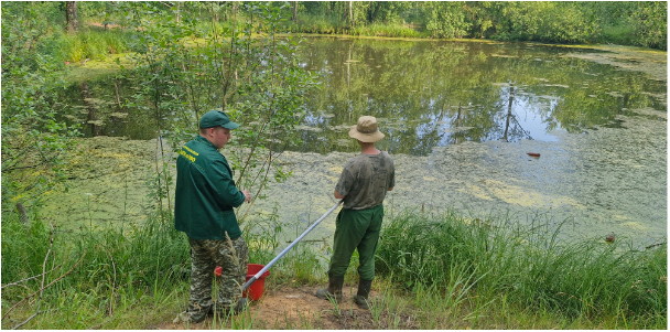 Нижегородский Росприроднадзор в рамках Федерального проекта «Генеральная уборка» провел обследование Бурнаковской низины