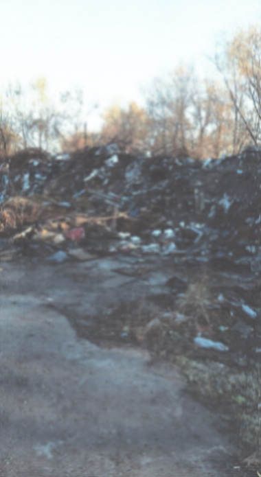 МКУ «УЖКХ администрации г. Белогорска»  оштрафована за несанкционированные свалки