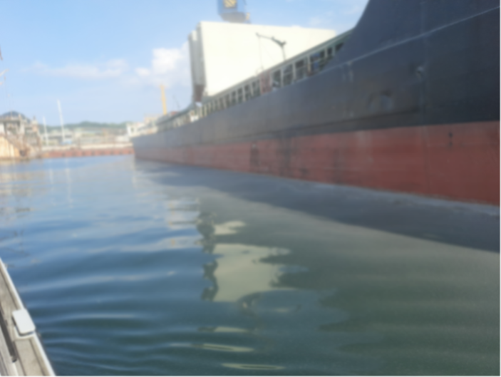 Вред в результате загрязнения акватории б. Славянка зерновой пылью 