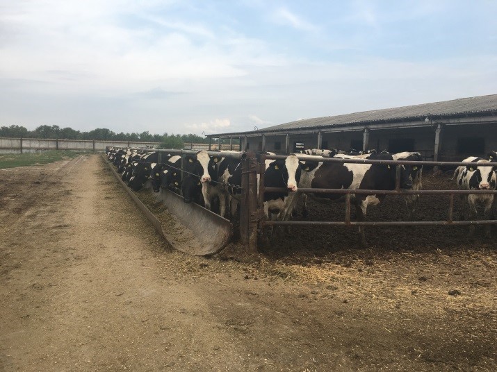 Специалистами Южного межрегионального управления Росприроднадзора проведена проверка ОАО «Агрофирма-племзавод «Победа»