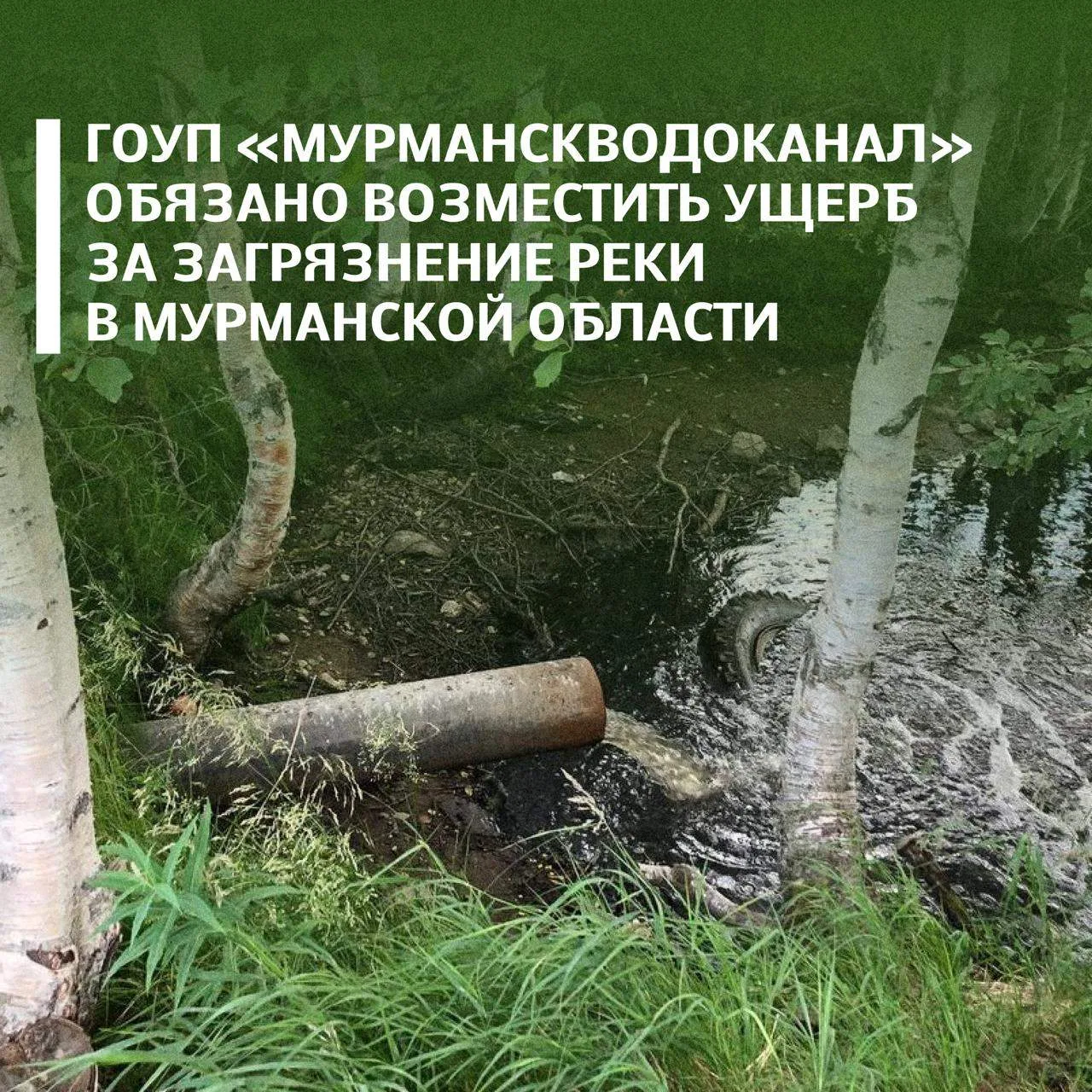 Росприроднадзор добивается от «Мурманскводоканал» возмещения ущерба за загрязнение реки Вирмы в Мурманской области