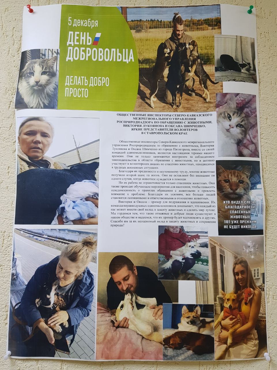 В Северо-Кавказском управлении Росприроднадзора выразили благодарность общественным инспекторам