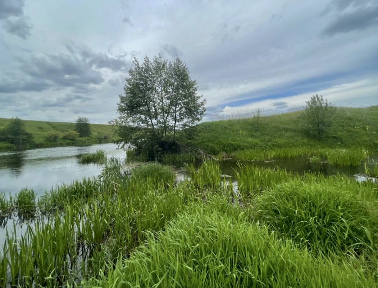 Во II квартале 2023г. проведен ряд выездных обследований реки Дон и прилегающей территории водоохранной зоны