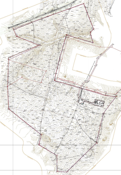 MO-13-02-2025-3