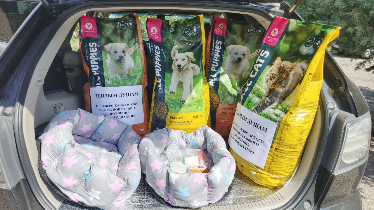 Общественные инспекторы и Росприроднадзор: общая миссия по спасению животных