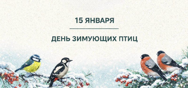 15 января — День зимующих птиц России
