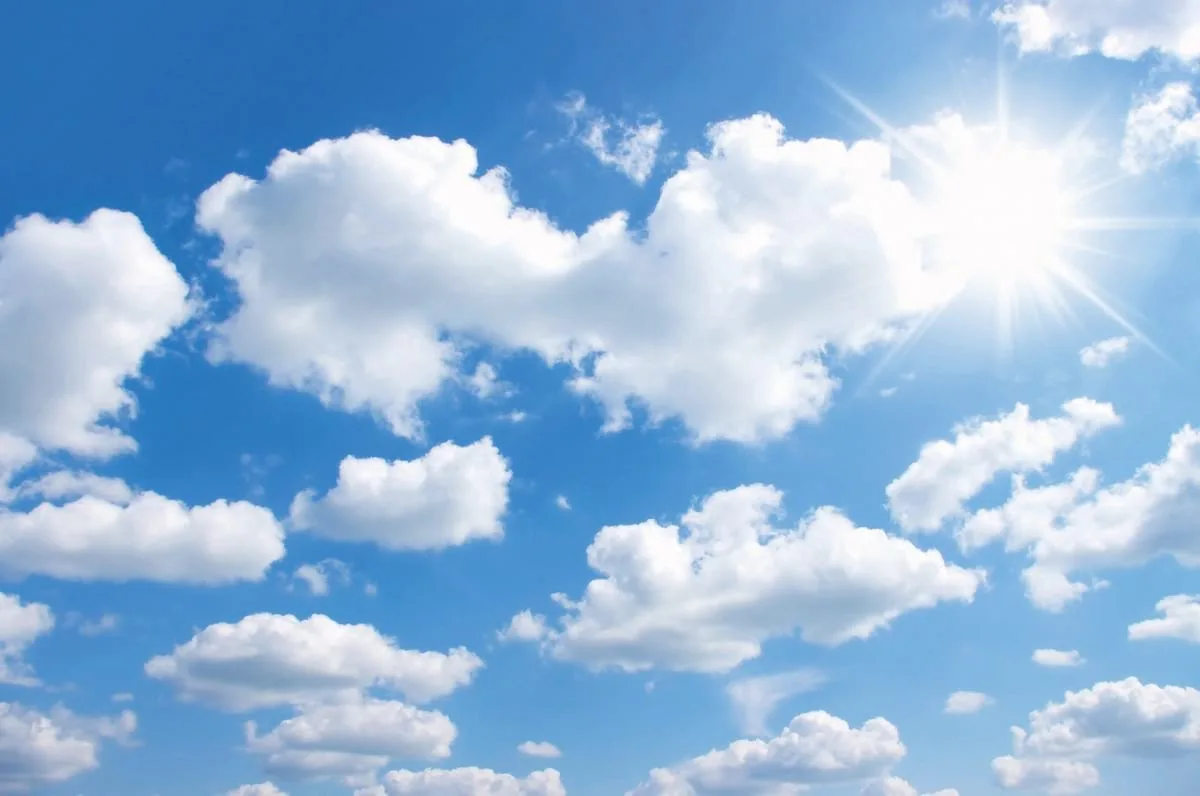 Отмена НМУ на 1 декабря (гг. Чита и Петровск-Забайкальский)