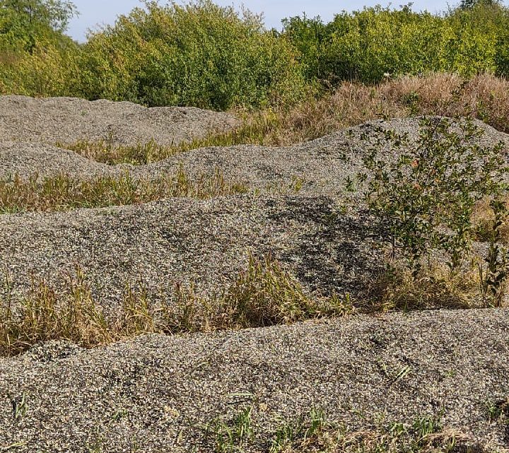 Росприроднадзор обязал гражданина устранить свалку отходов в районе реки Куличиха