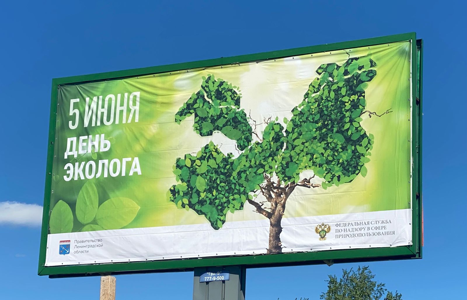 В День эколога Росприроднадзор напомнил гражданам о бережном отношении к природе 