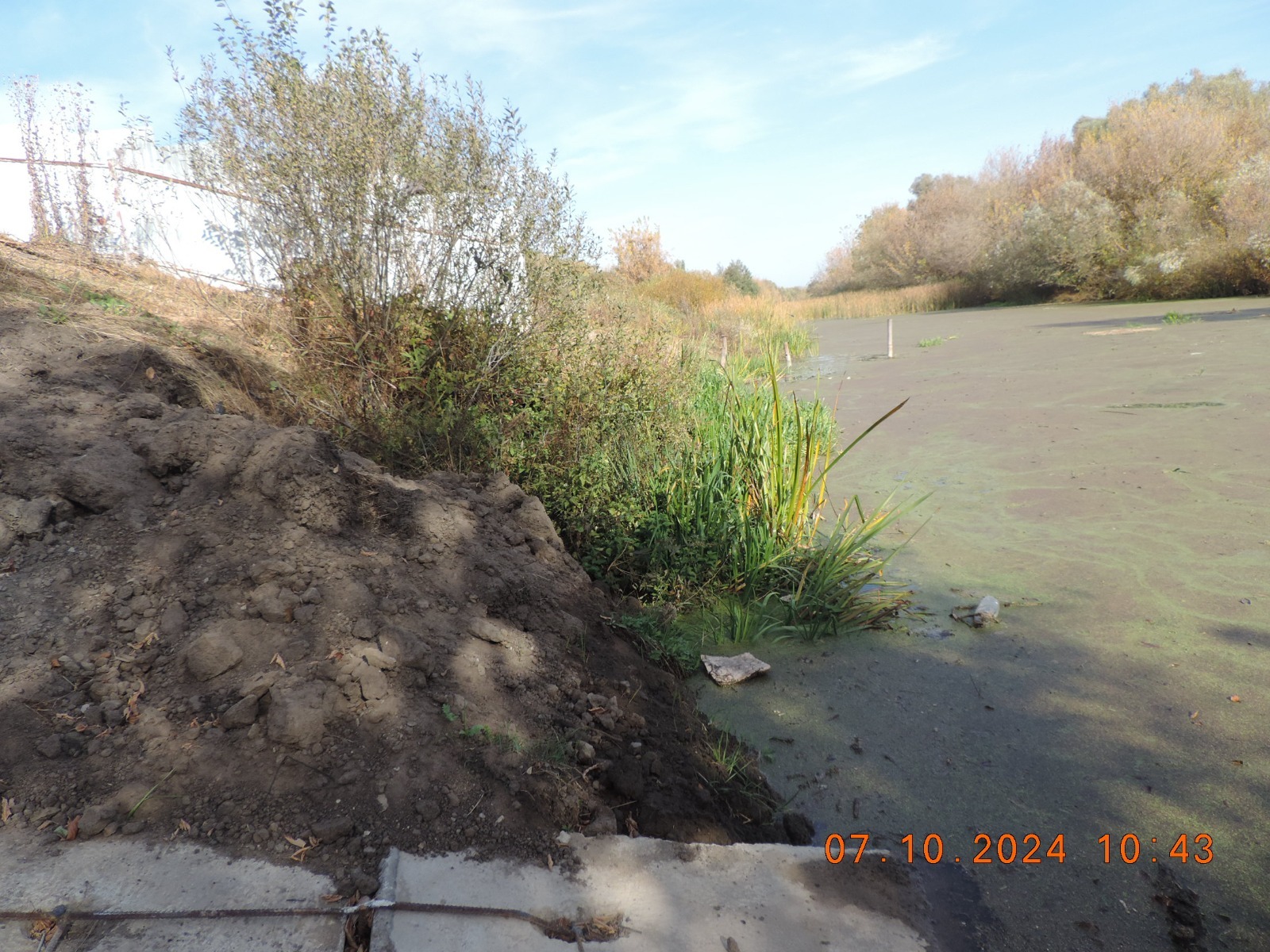 Росприроднадзор вынес предостережение собственникам земельного участка о недопустимости ограничения свободного доступа к реке Воронеж 