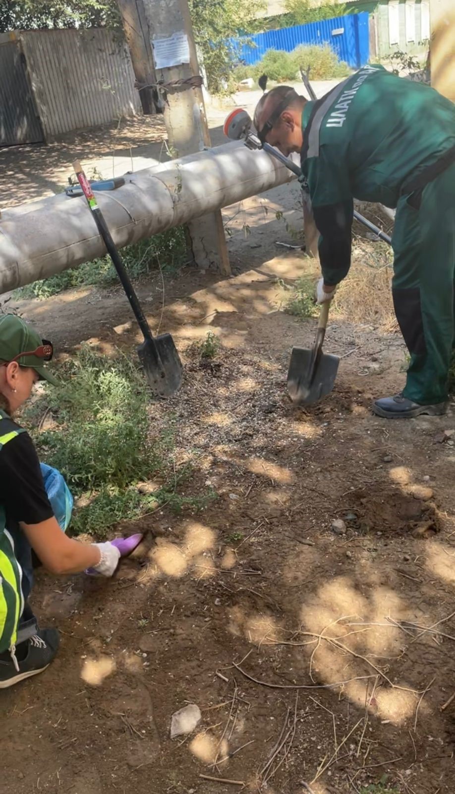 Суд поддержал требования Росприронадзора о возмещении вреда почвам, в размере 4 441 603 рублей