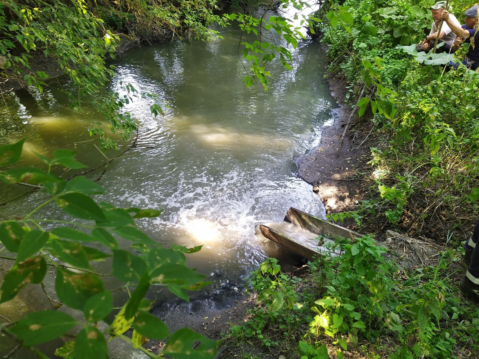 Центрально-Черноземное межрегиональное управление Росприроднадзора требует с ГУП «Белоблводоканал» более 1,9 млн руб. за ущерб, причиненный р. Короча