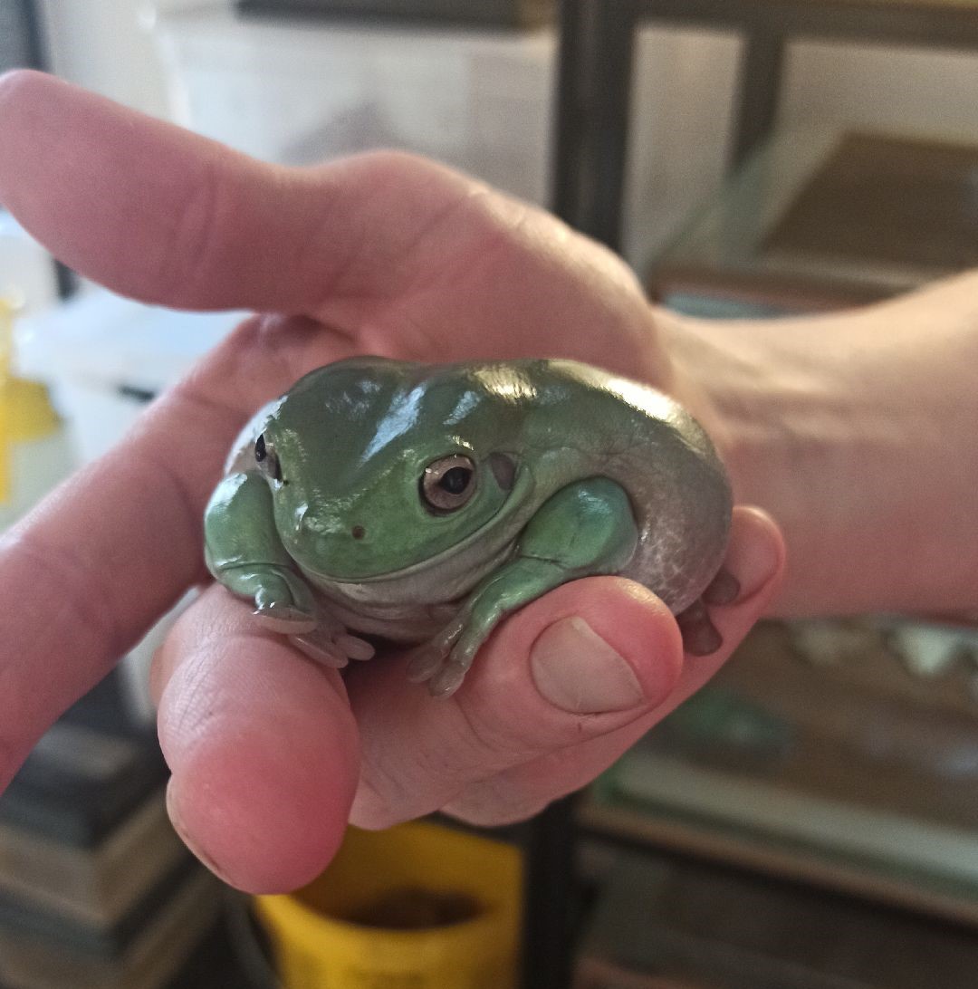 Росприродназор провел профилактический визит на объект по содержанию диких экзотических животных в городе Барнаул