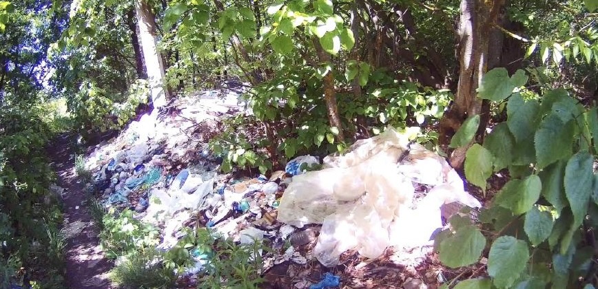 В ходе выездной проверки территории СНТ «Тайное» в д. Тайное Орловской области установлены нарушения