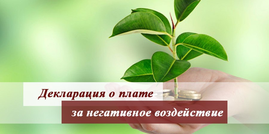 Межрегиональное управление Росприроднадзора по Саратовской и Пензенской областям сообщает о нарушении со стороны ООО «Тунгус-Петролеум»