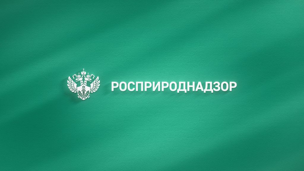 Росприроднадзор объявляет конкурс на целевое обучение с последующим трудоустройством на федеральную государственную гражданскую службу — в центральном аппарате или территориальных органах