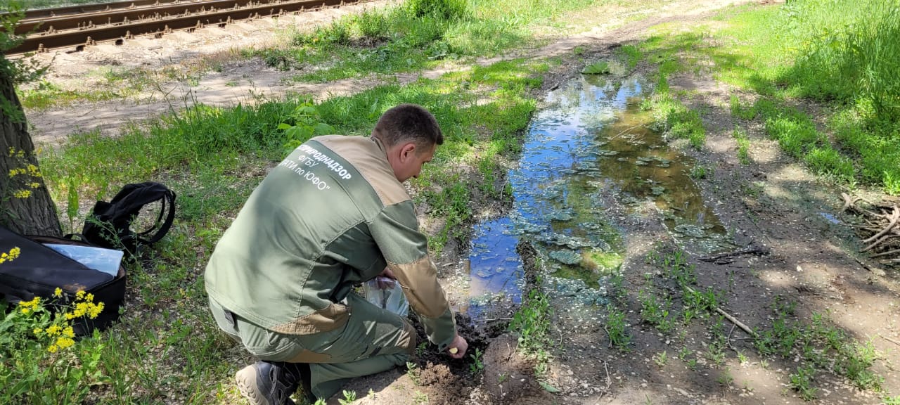 Росприроднадзор принимает меры по факту излива сточных вод в Дзержинском районе г. Волгограда