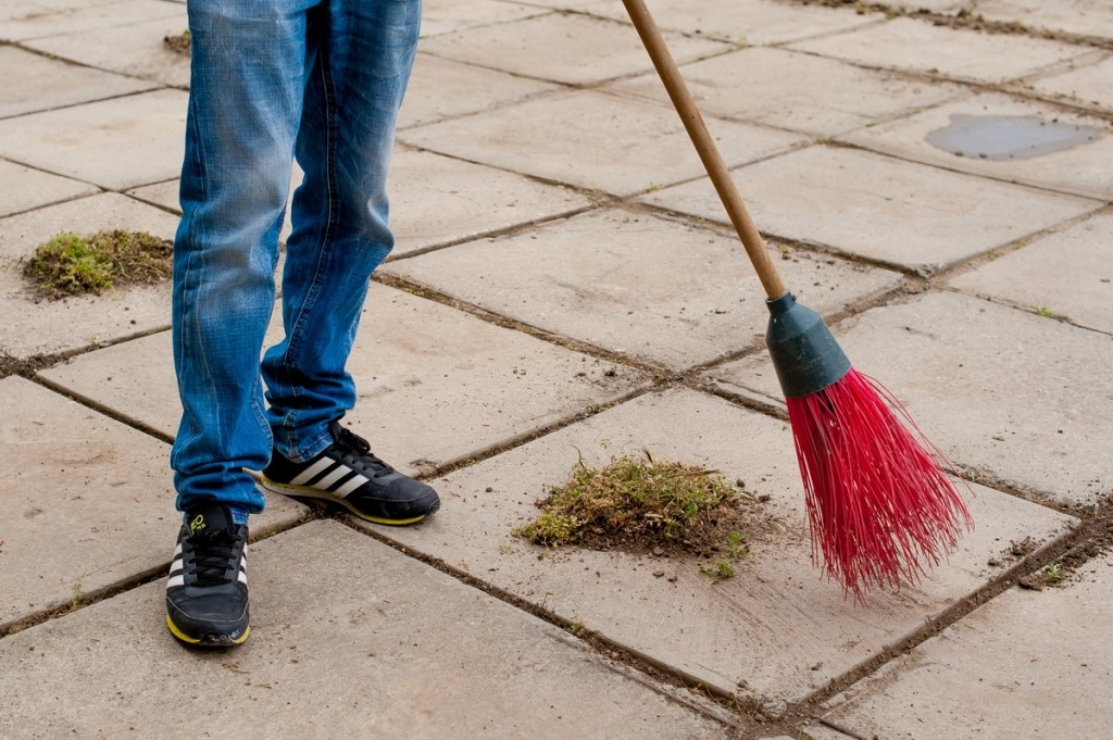 Нарушителю природоохранного законодательства, не уплатившему штраф,  судом назначены обязательные работы