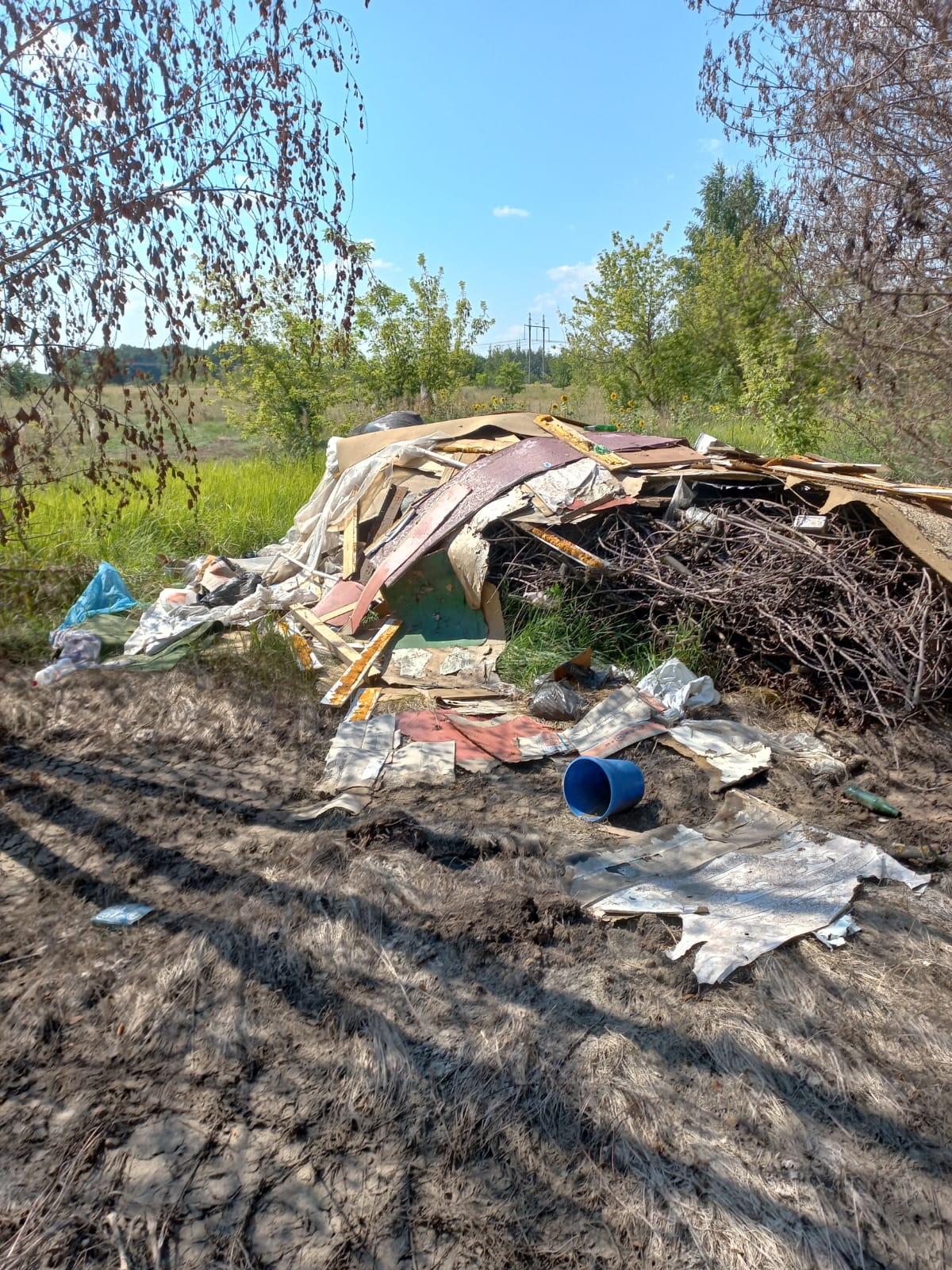Росприроднадзор проводит проверку по факту загрязнения земельного участка в Тамбовской области