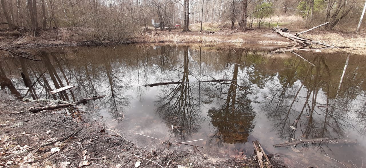 Сотрудники Росприроднадзора проверяют информацию о гибели черепах