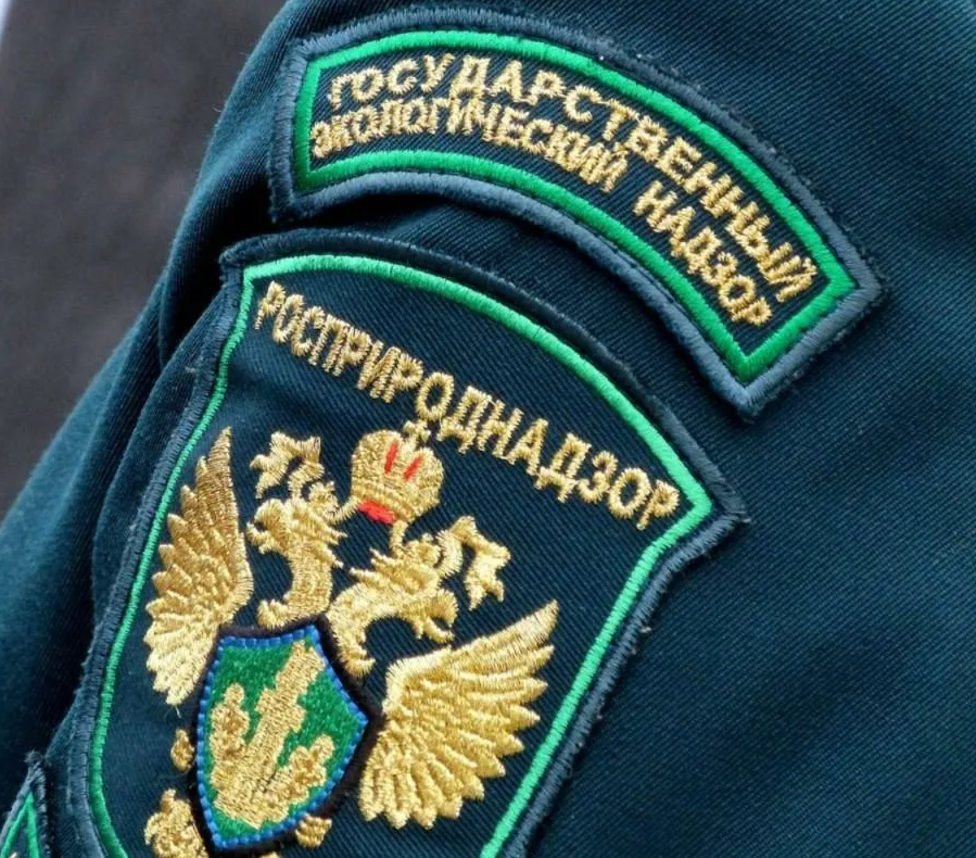 Черноморо-Азовское морское управление Росприроднадзора скорректировало план проверок природопользователей на 2022 год