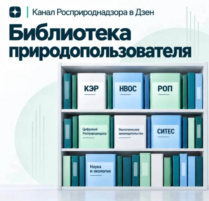 У Росприроднадзора появился канал в Дзене — площадка с разъяснениями природоохранного законодательства