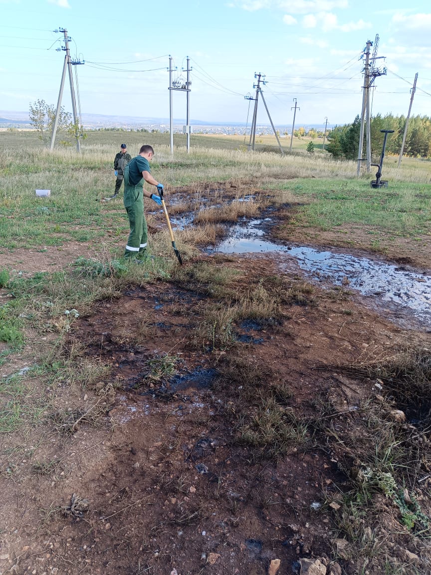 В Альметьевске произошло загрязнение почв технологической жидкостью на площади 228 кв.м.