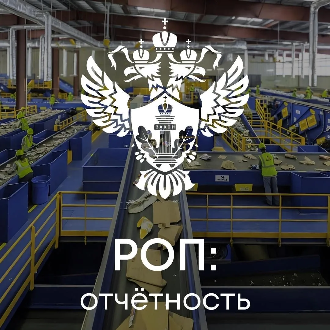 РОП: отчётность