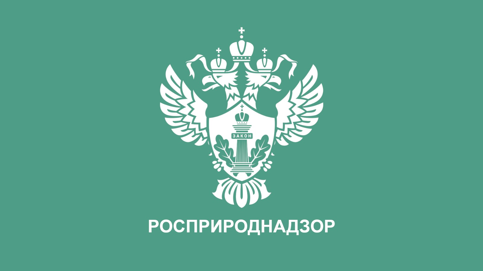 ООО «Фортуна» оштрафовано за нарушение природоохранного законодательства