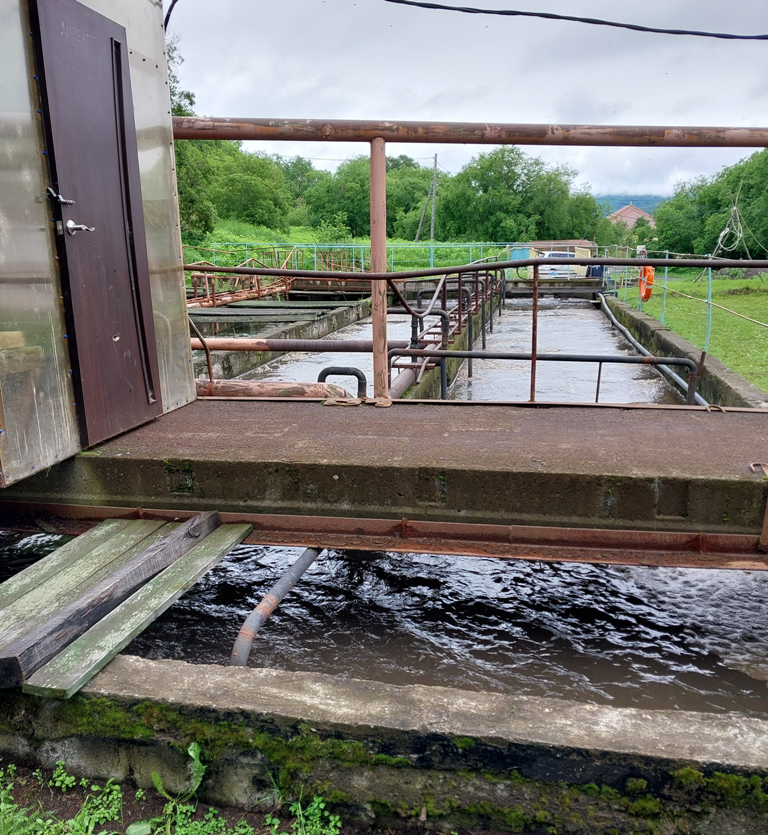 КГУП «Камчатский водоканал» обязано выплатить 283 тыс. рублей за вред, причиненный водному объекту - озеру Халактырское