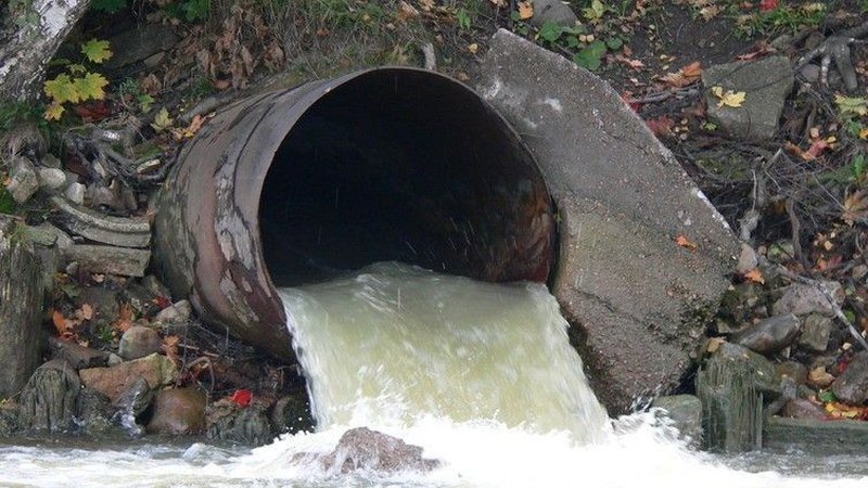 АО «Васильевская птицефабрика» нарушает нормы охраны водных объектов