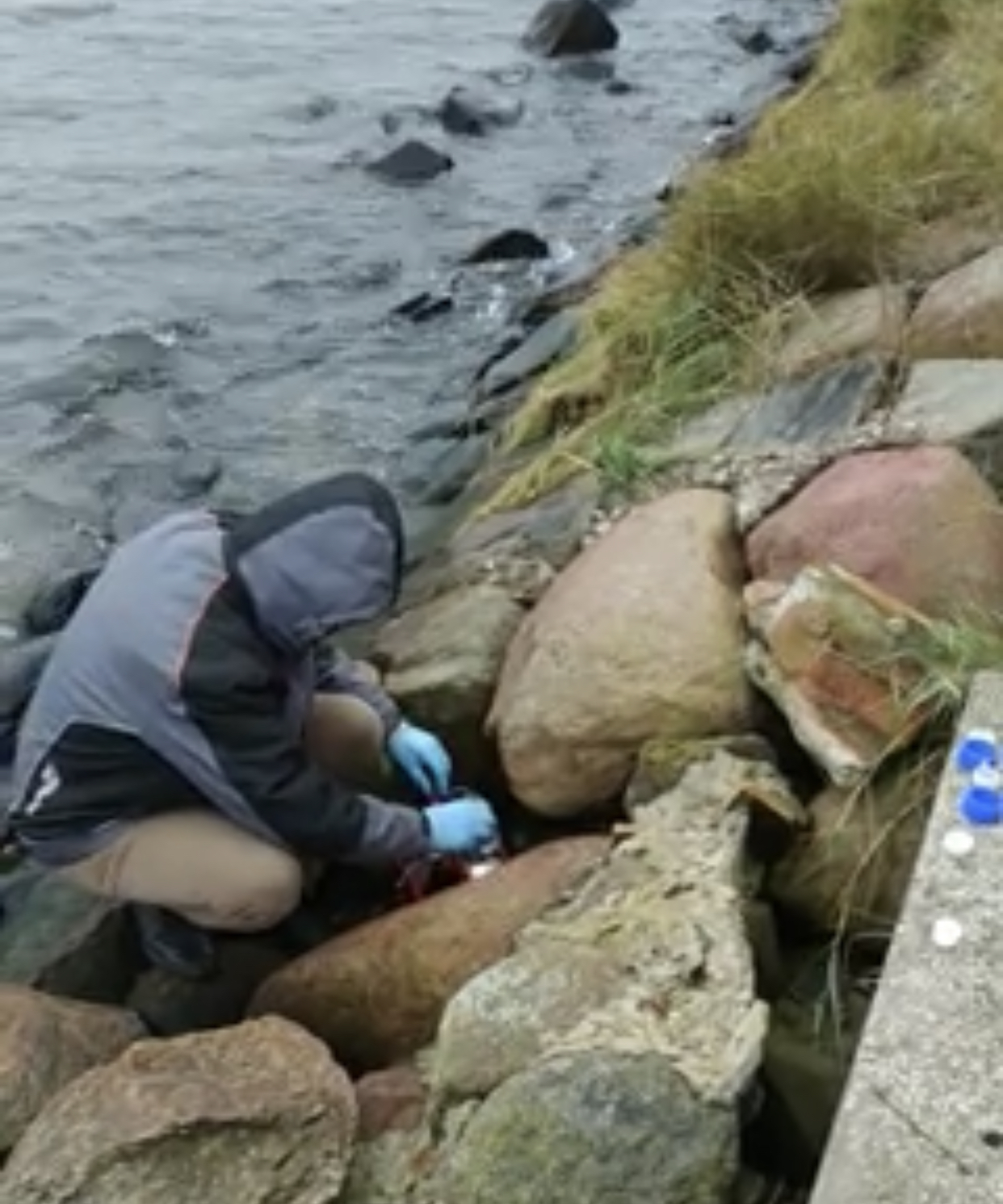 МУП «Балтвода» не обеспечивает требуемую очистку сточных вод