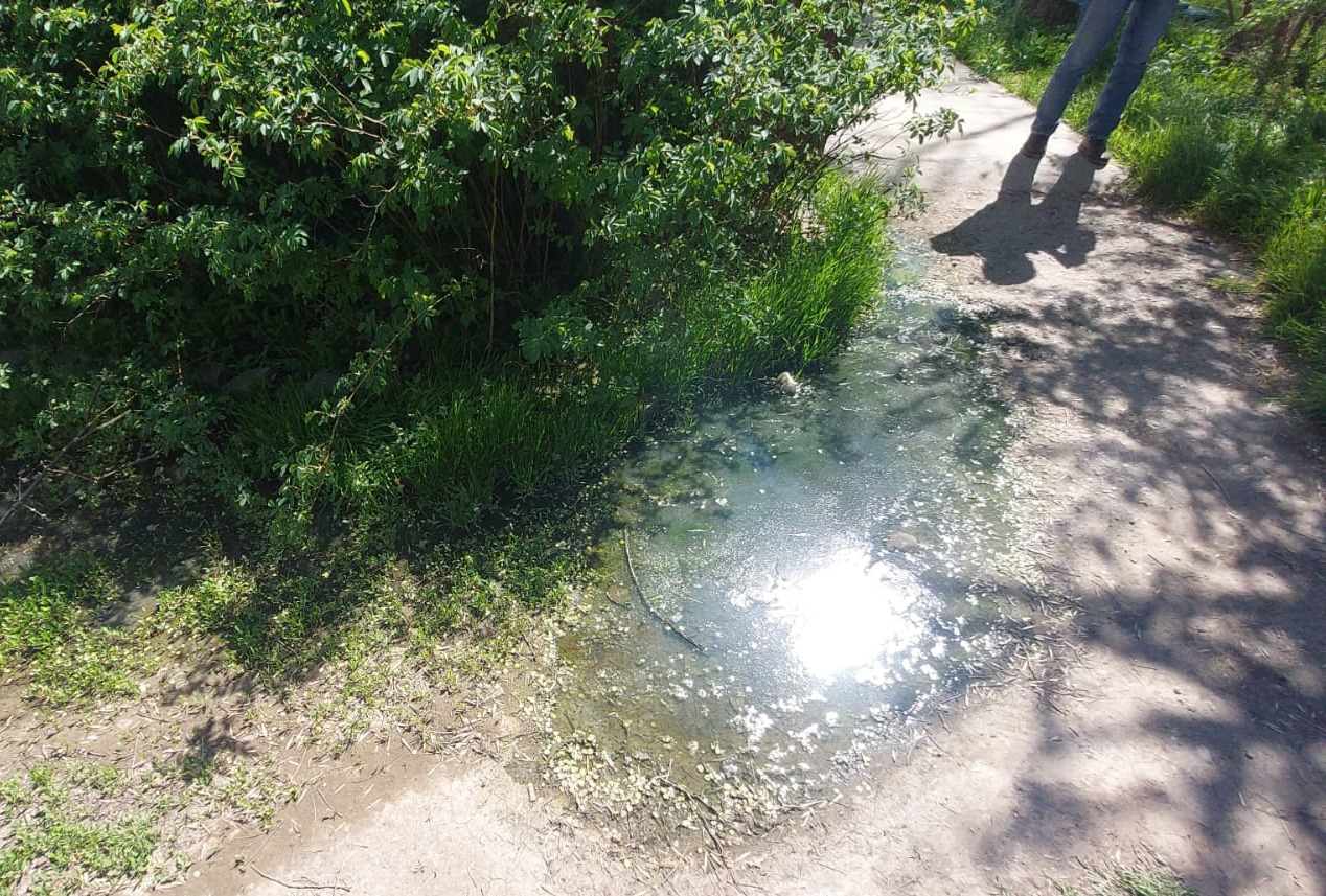 Росприроднадзором выявлен факт загрязнения почвы в границах г. Астрахань