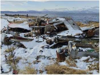 Арбитражный суд Камчатского края удовлетворил исковые требования Управления о взыскании с ООО «Свободный порт Камчатка» вреда, причинённого почвам.