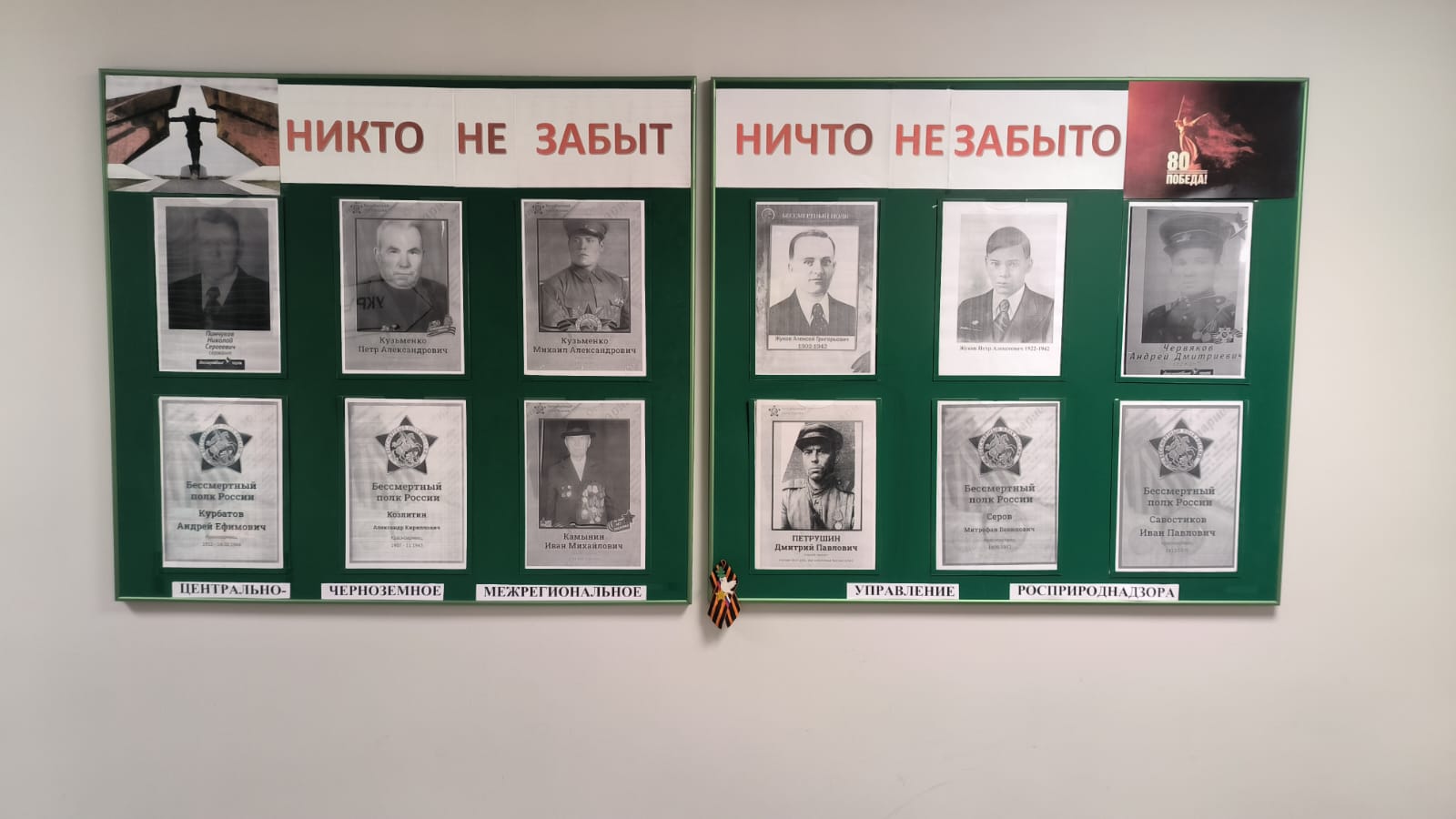 Центрально-Черноземное управление Росприроднадзора в рамках подготовки к празднованию 80-й годовщины Победы в Великой Отечественной войне проводит патриотическую акцию «Живая память»