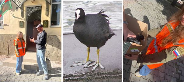 Росприроднадзор продолжает контролировать ситуацию с затонувшим в Южной бухте города Севастополя плавкраном