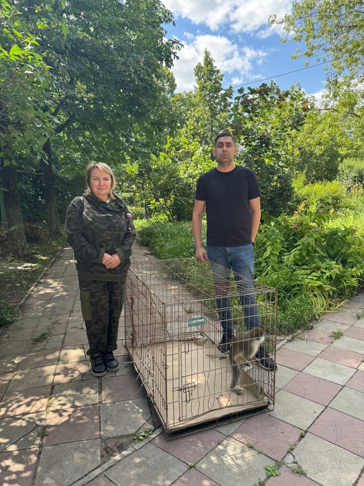 Приазовское межрегиональное управление Росприроднадзора приняли участие в спасении зеленой мартышки в ЛНР