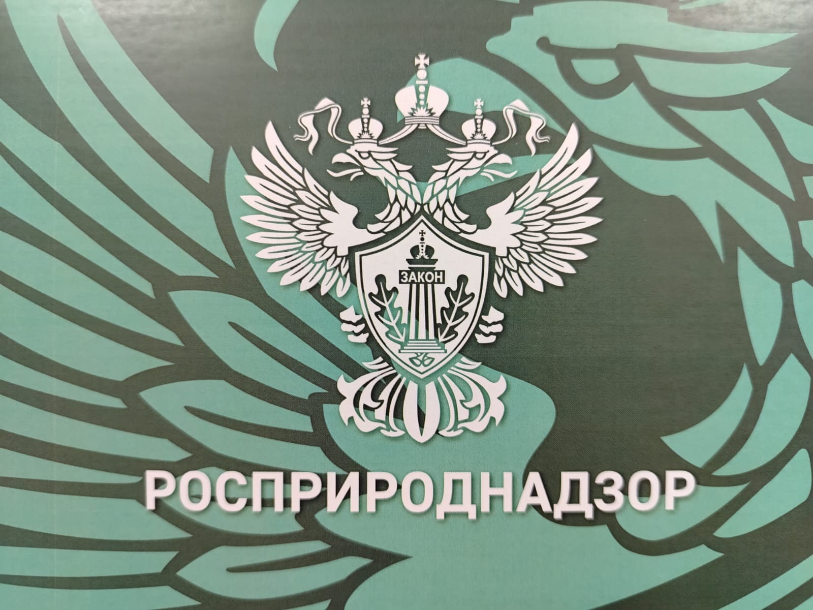АО «ЕВРАЗ НТМК» не выполнило предписание Росприроднадзора