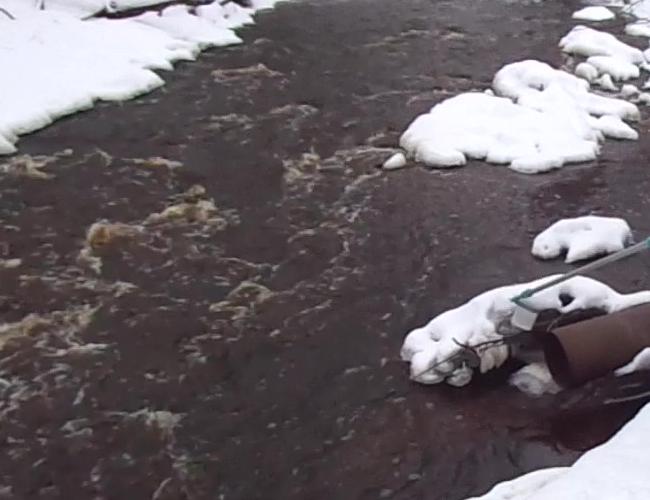 Вельгийская бумажная фабрика нарушила требования к охране реки Вельгия