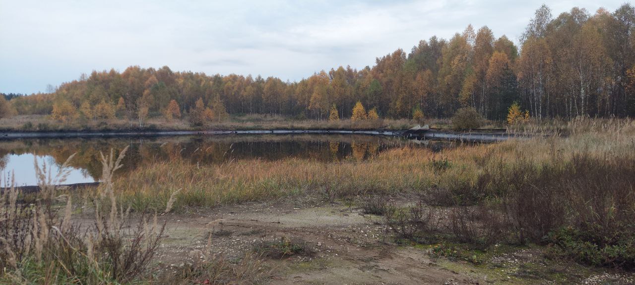Полигон промышленных отходов Заволжского моторного завода оказывает негативное влияние на почву