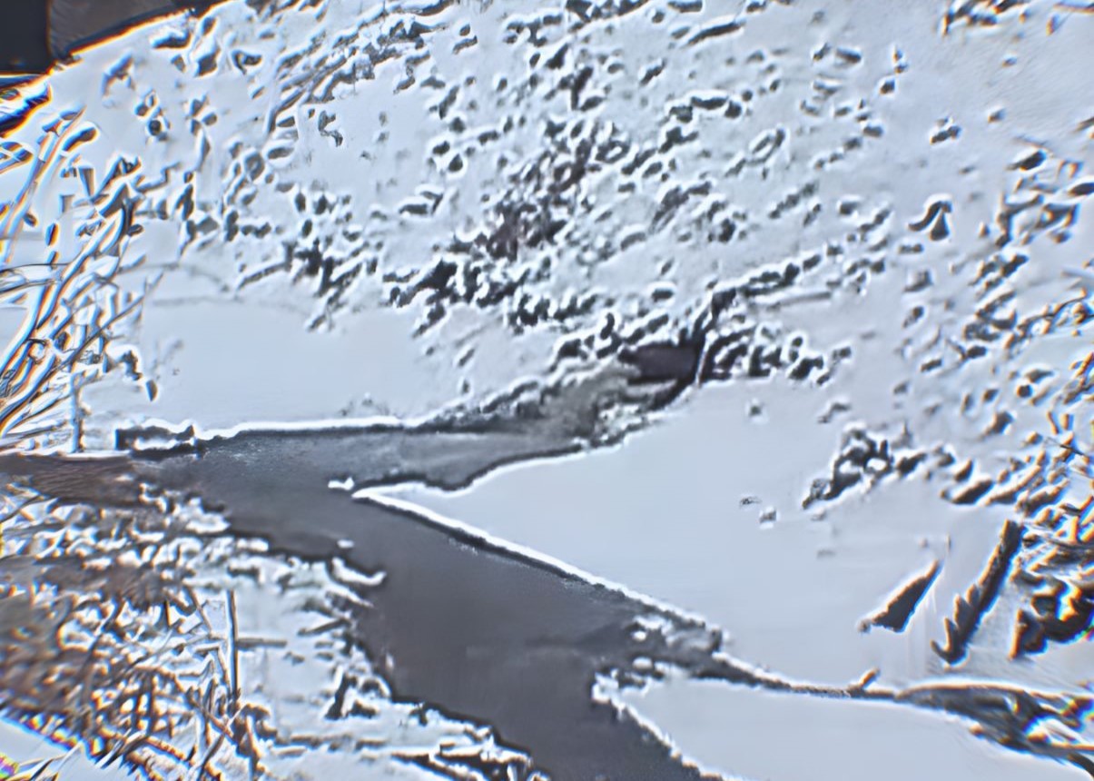 Факт возможного нарушения требований природоохранного законодательства на территории пгт. Промышленная находится на контроле Южно-Сибирского межрегионального управления Росприроднадзора