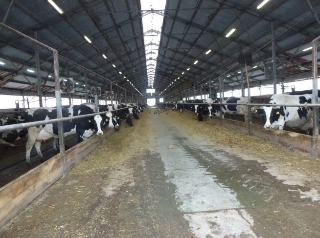 АО «Фирма Акконд-Агро» в Чувашской Республике не разработало нормативы образования отходов